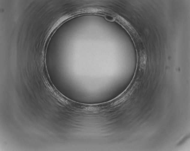 X0000085821178200703301546