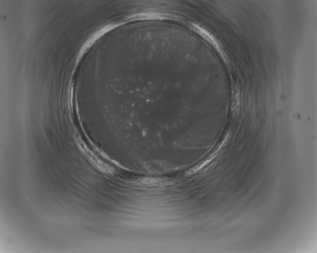 X0000085821179200703301546