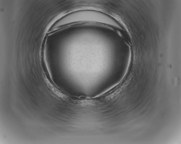 X0000085821181200703301546