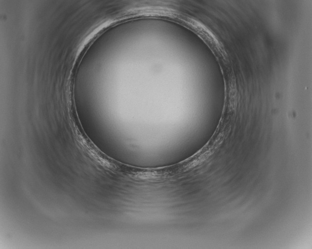 X0000085821182200703301546