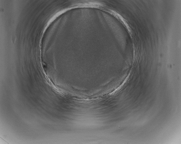 X0000085821184200703301546