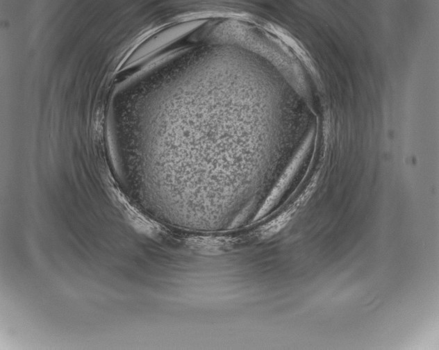 X0000085821185200703301546