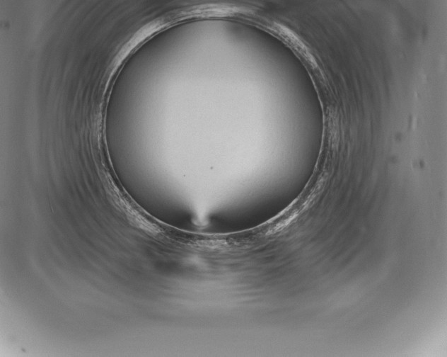 X0000085821186200703301545