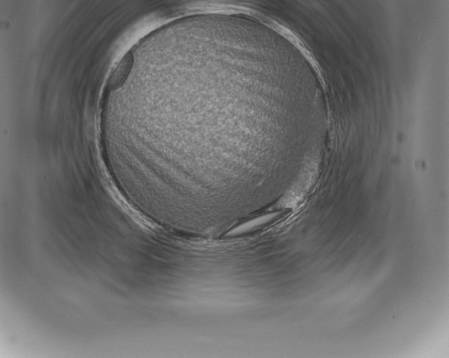 X0000085821187200703301545