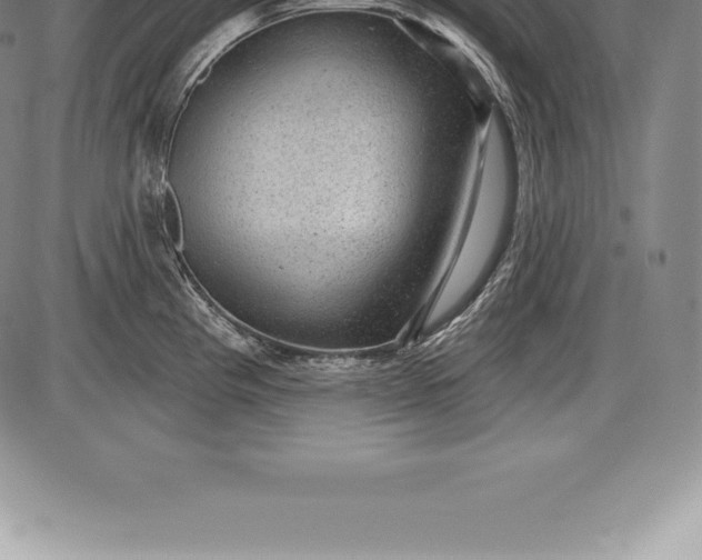 X0000085821193200703301545