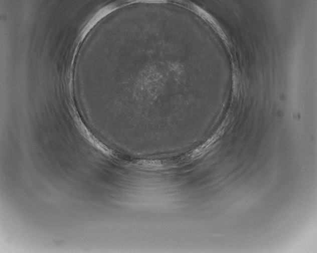 X0000085821194200703301545