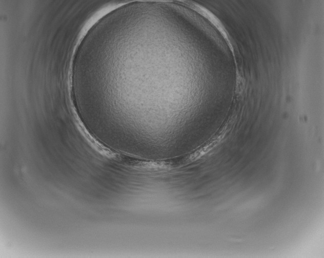 X0000085821195200703301545