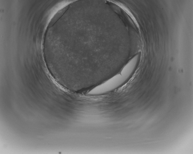 X0000085821197200703301545