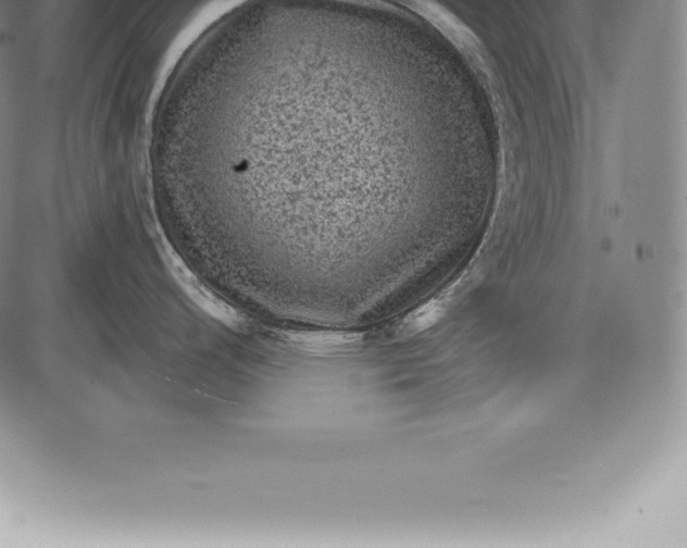 X0000085821200200703301545