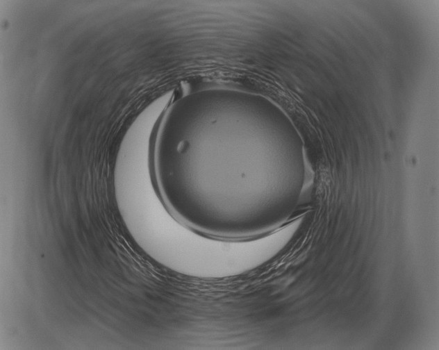 X0000085821202200703301544