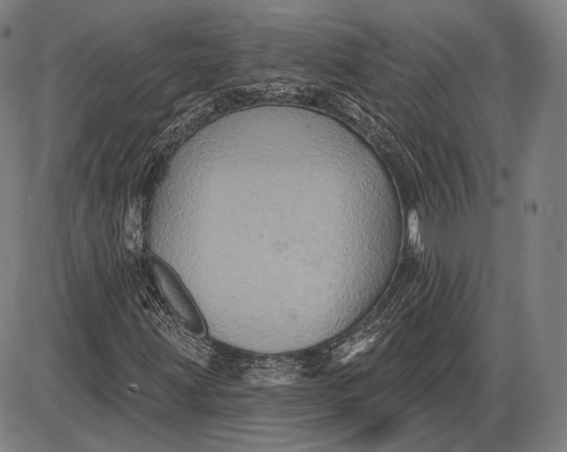 X0000085821203200703301544