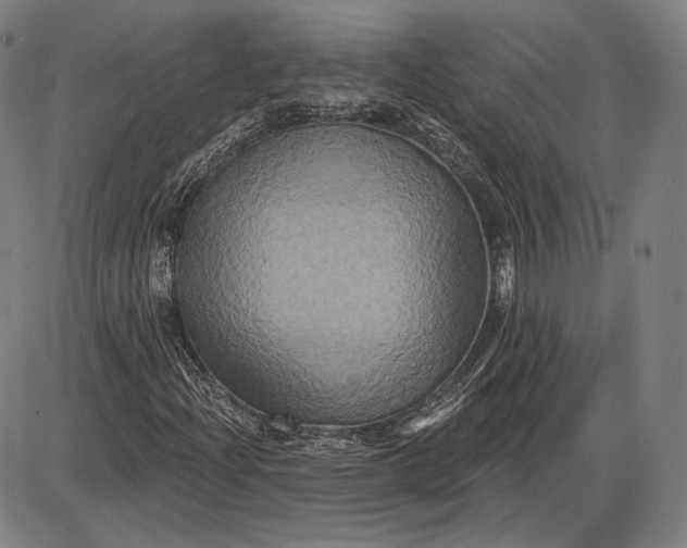 X0000085821204200703301545
