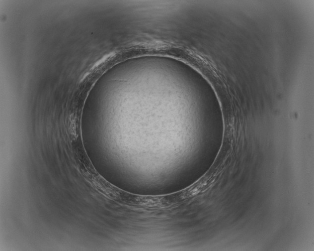 X0000085821205200703301545