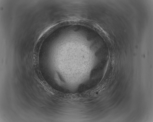 X0000085821208200703301545