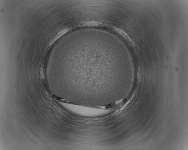 X0000085821209200703301545