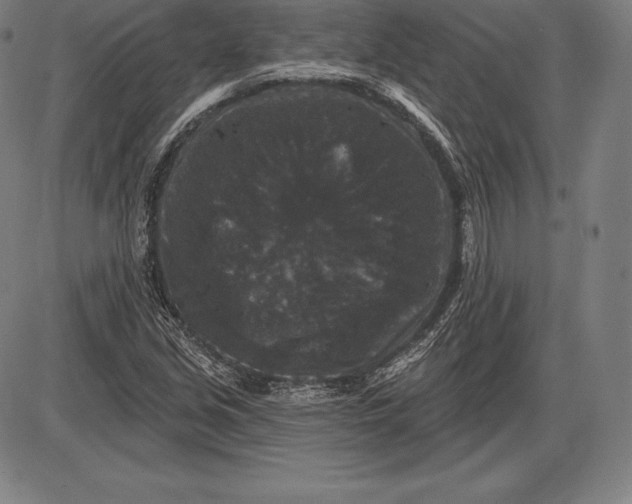 X0000085821213200703301545