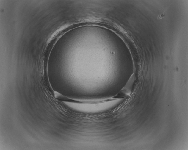 X0000085821214200703301545