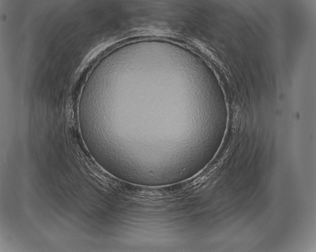 X0000085821215200703301545