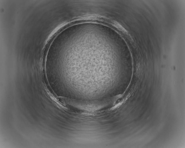 X0000085821216200703301545