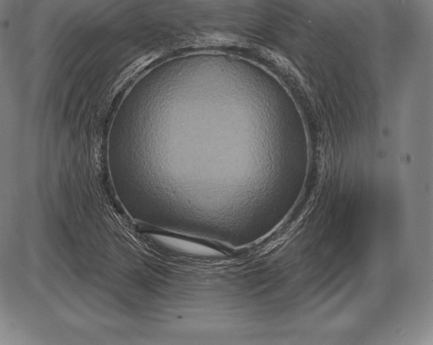 X0000085821217200703301545