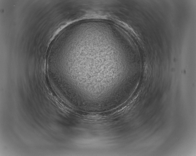 X0000085821220200703301545