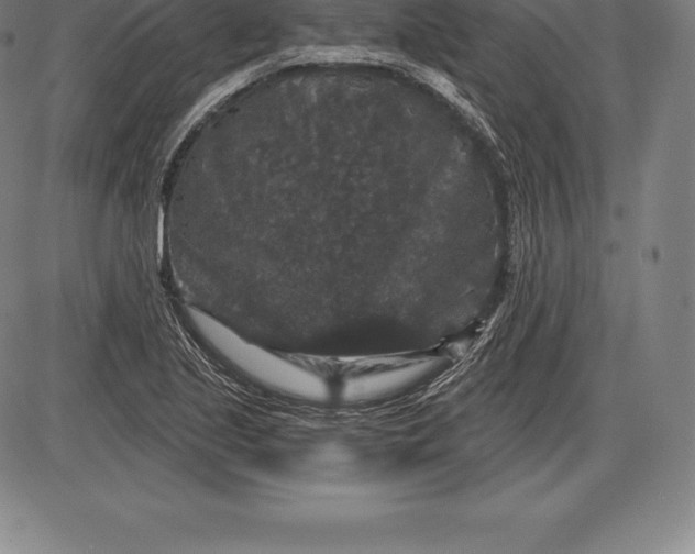 X0000085821221200703301545