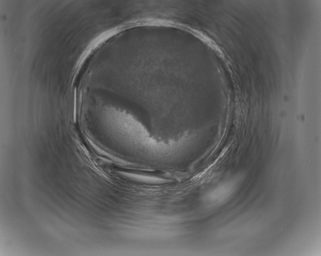 X0000085821223200703301545