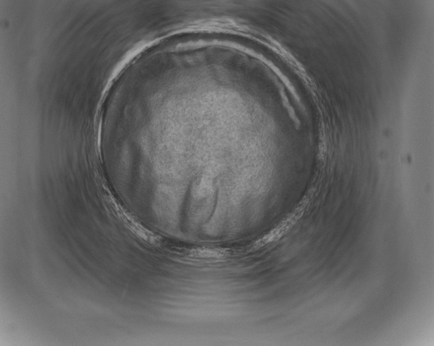 X0000085821224200703301545