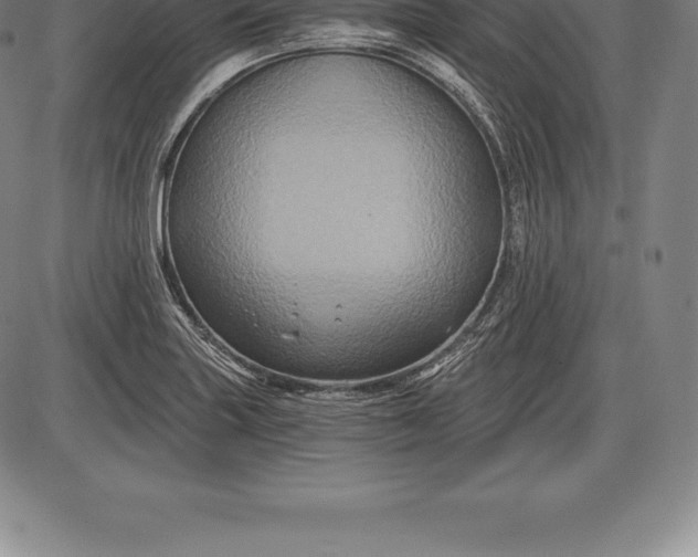 X0000085821227200703301545