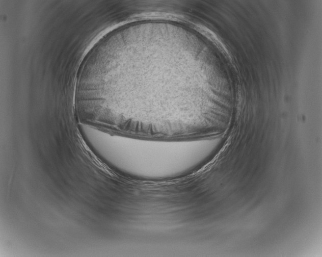 X0000085821228200703301545