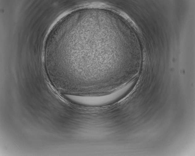 X0000085821232200703301545