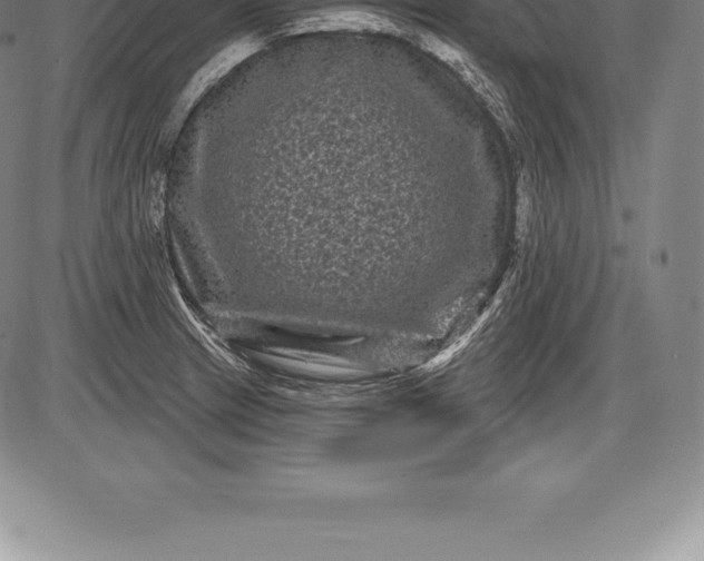 X0000085821233200703301545