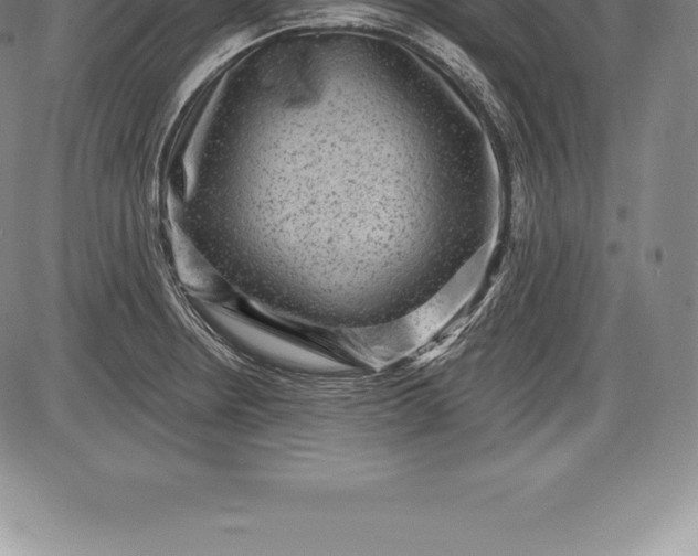 X0000085821234200703301545