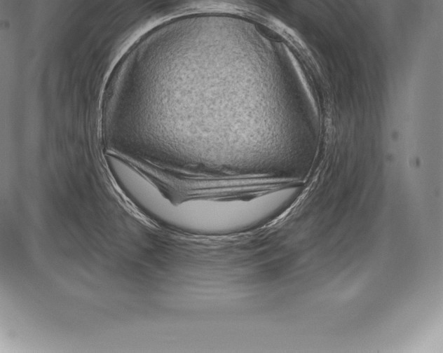 X0000085821236200703301545