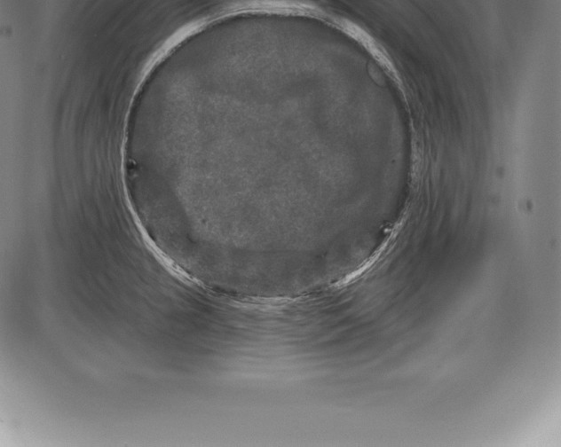 X0000085821237200703301545