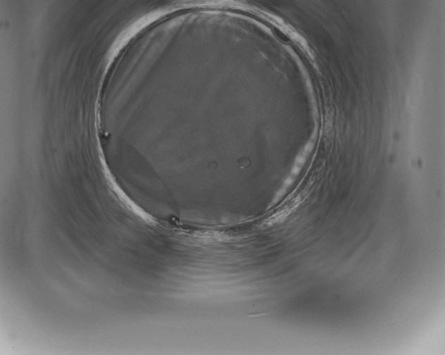 X0000085821239200703301545