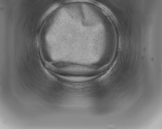 X0000085821241200703301545