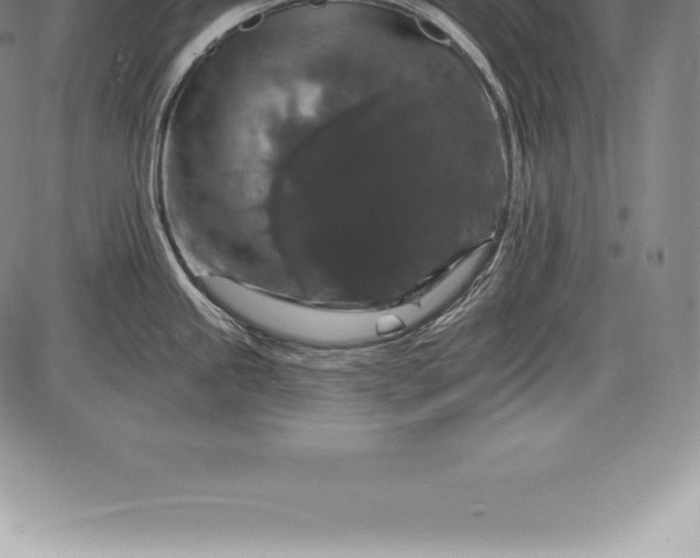 X0000085821245200703301545