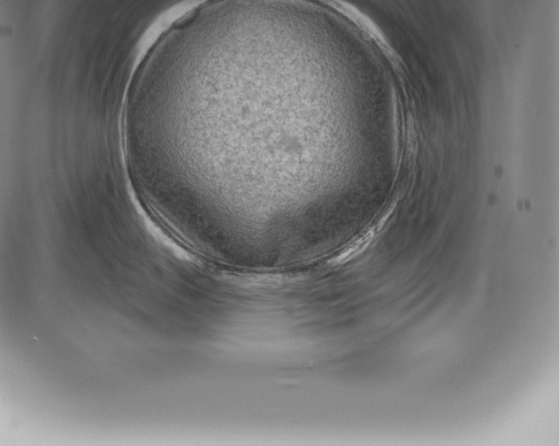 X0000085821247200703301545