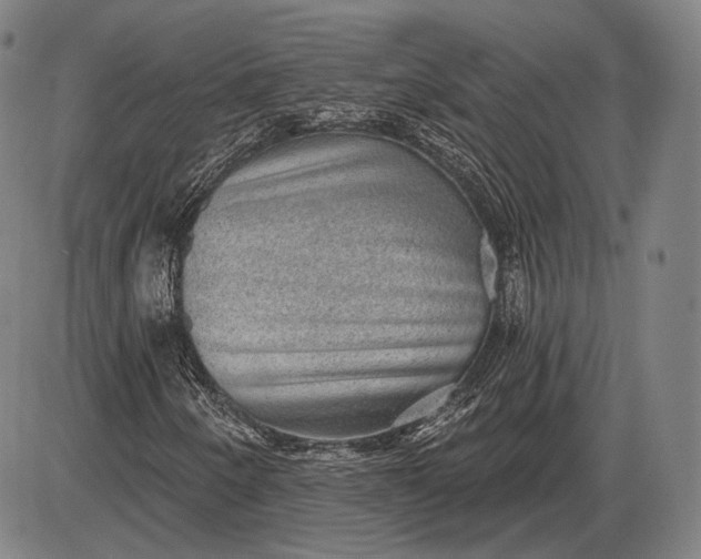 X0000085821250200703301544