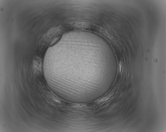 X0000085821251200703301544