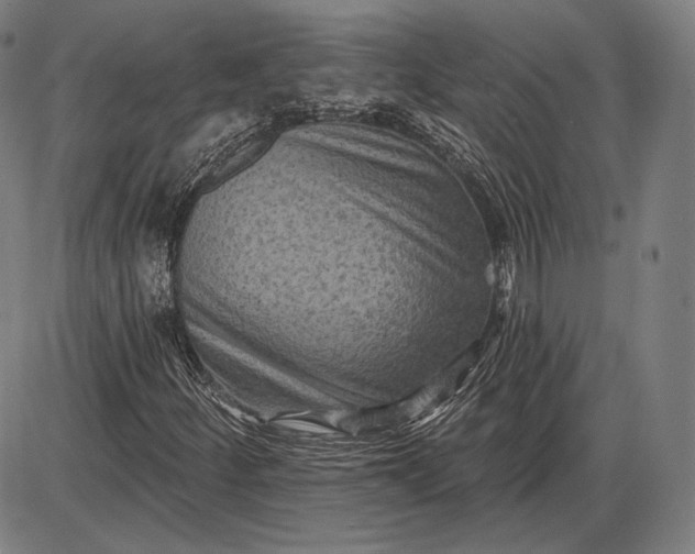 X0000085821252200703301544