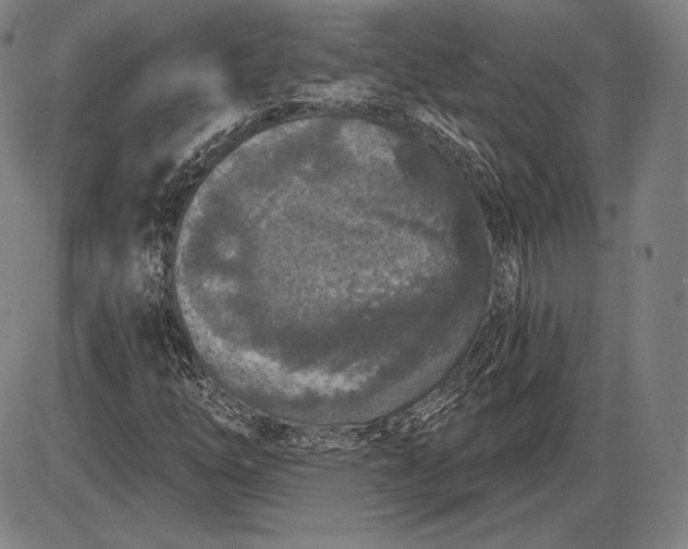X0000085821254200703301544