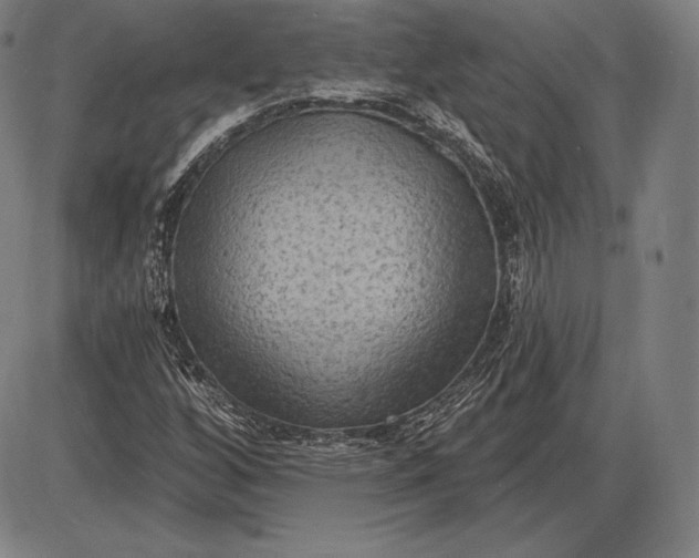 X0000085821256200703301544