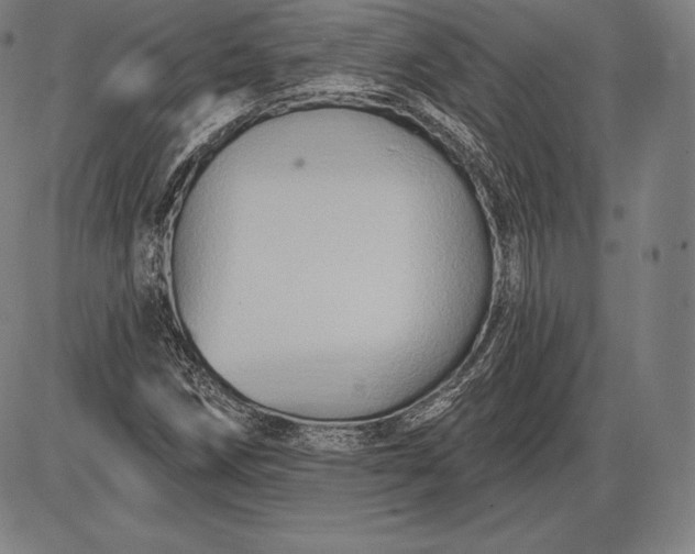 X0000085821258200703301544
