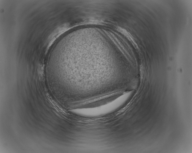 X0000085821260200703301544