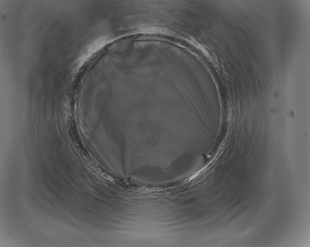 X0000085821263200703301544