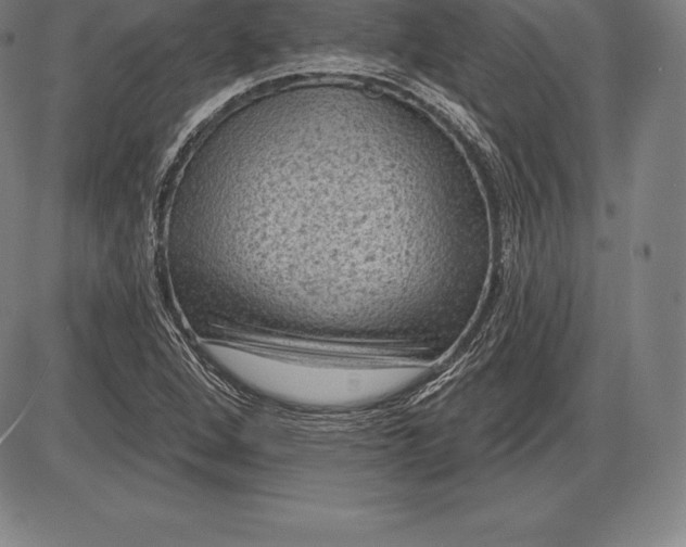 X0000085821264200703301544