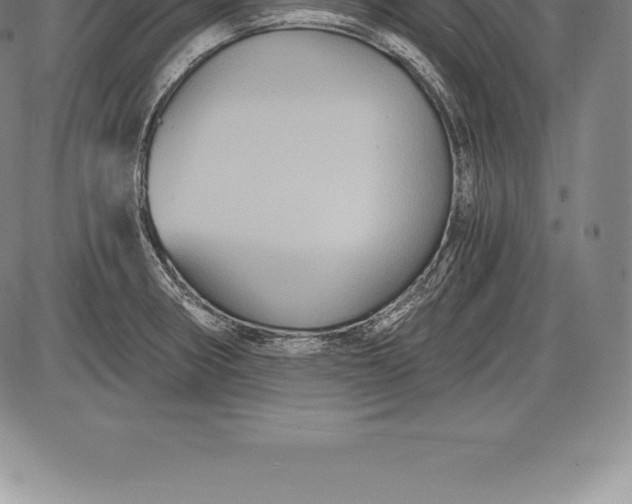 X0000085821282200703301544