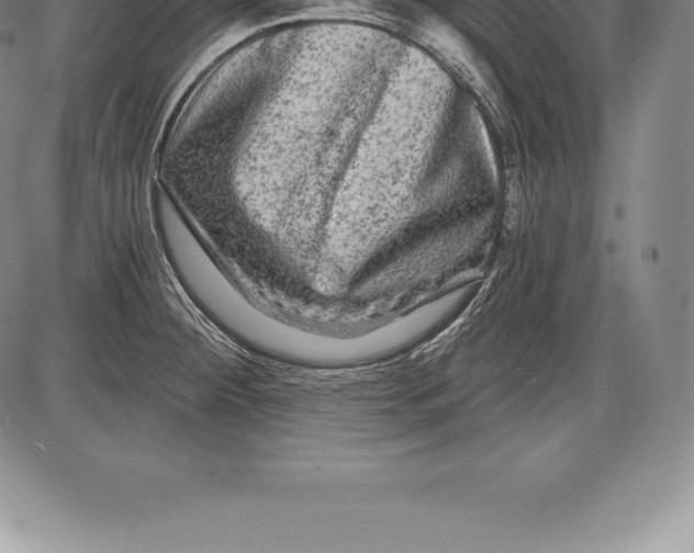 X0000085821284200703301544